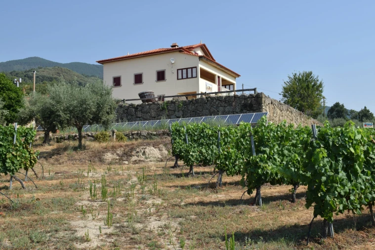 Quinta T4 para Venda em Teixoso e Sarzedo Foto 46