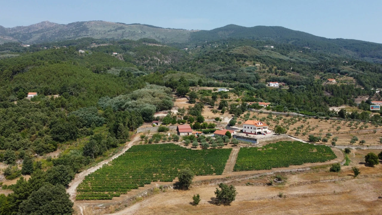 Quinta T4 para Venda em Teixoso e Sarzedo Foto 5