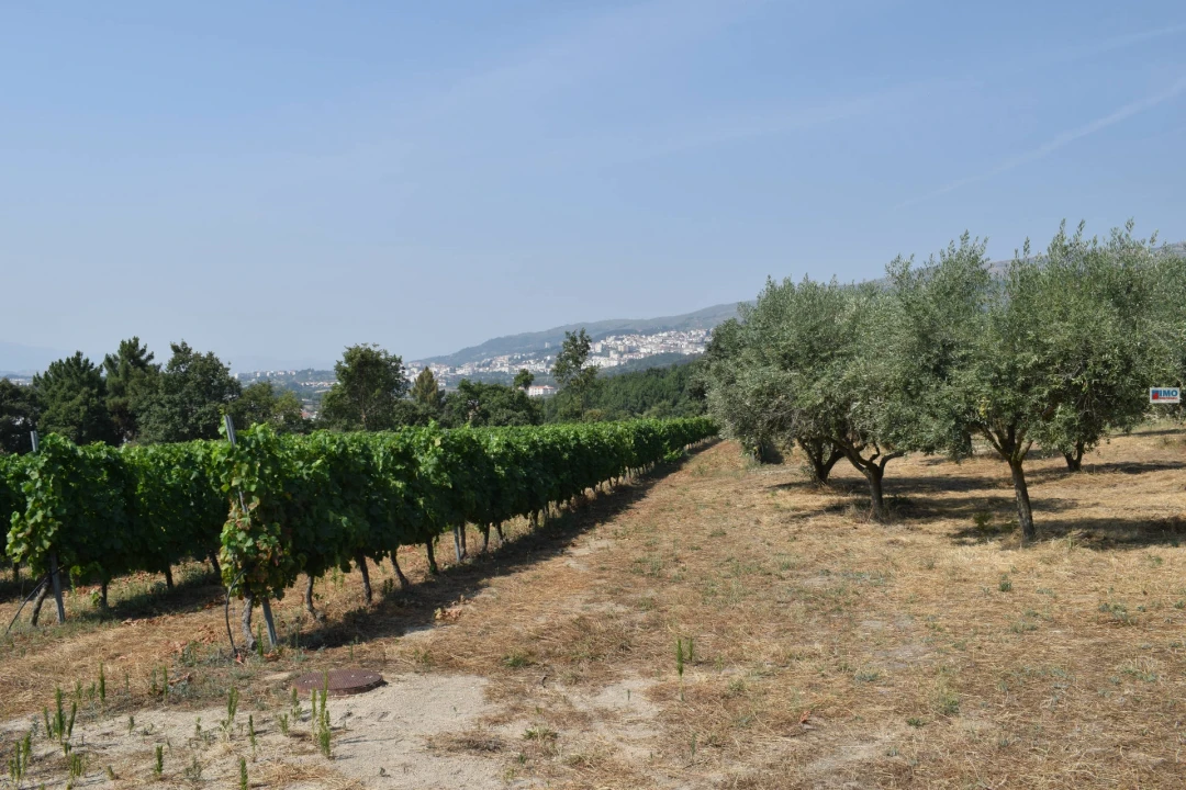 Quinta T4 para Venda em Teixoso e Sarzedo Foto 49