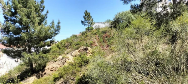 Terreno para Venda em Marvila, Ribeira Santarém, São Salvador, São Nicolau