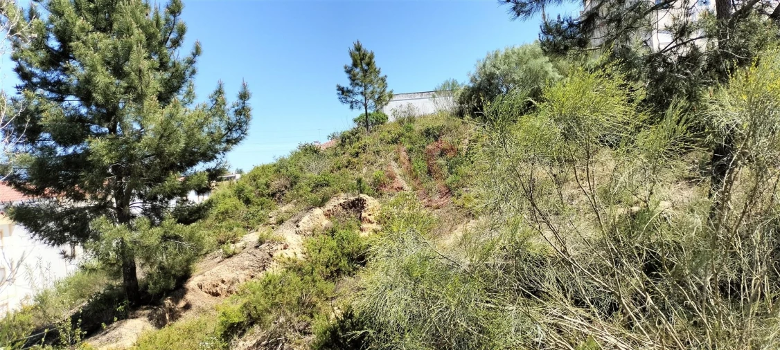 Terreno para Venda em Marvila, Ribeira Santarém, São Salvador, São Nicolau Foto 2