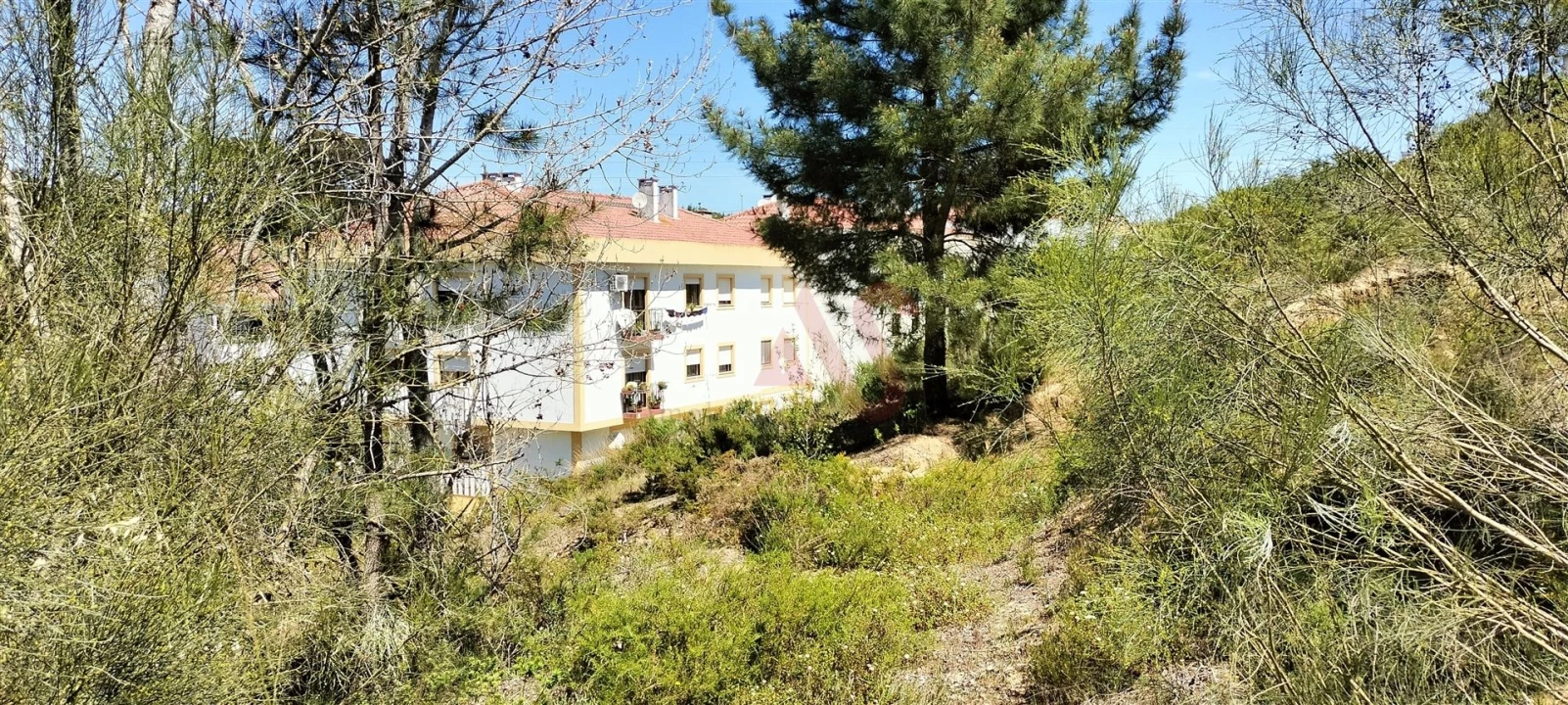 Terreno para Venda em Marvila, Ribeira Santarém, São Salvador, São Nicolau Foto 1