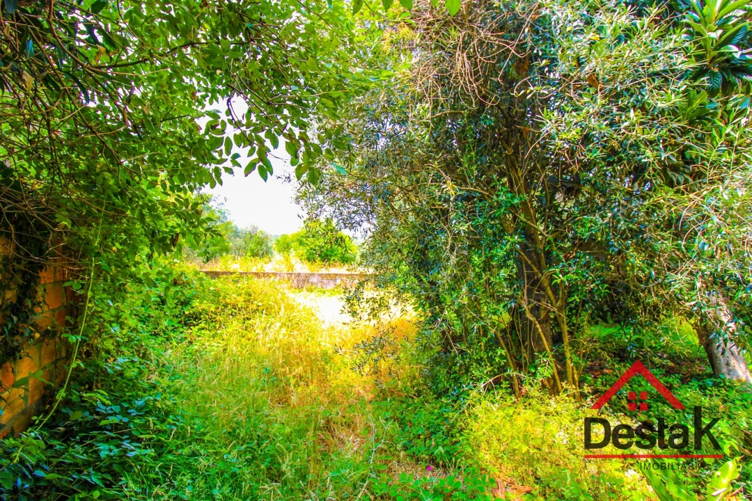 Terreno para Venda em Campo Foto 1