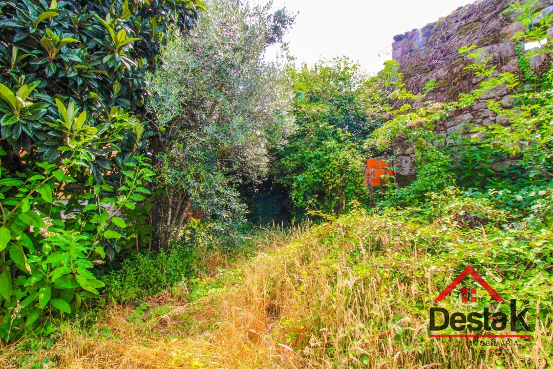 Terreno para Venda em Campo Foto 7