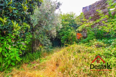 Terreno para Venda em Campo