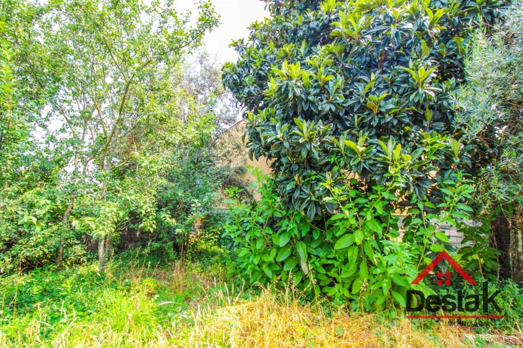 Terreno para Venda em Campo Foto 8
