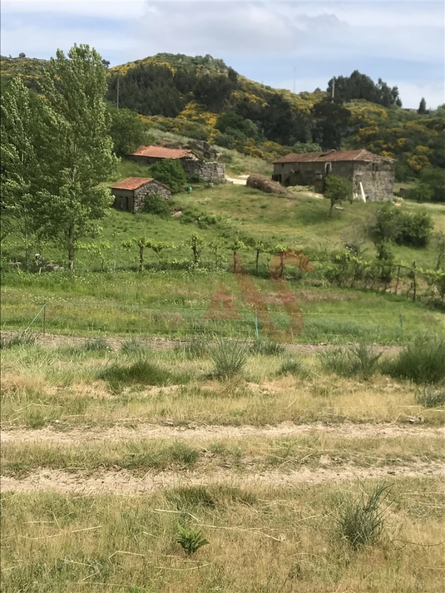 Quinta T2 para Venda em Soalhães Foto 4