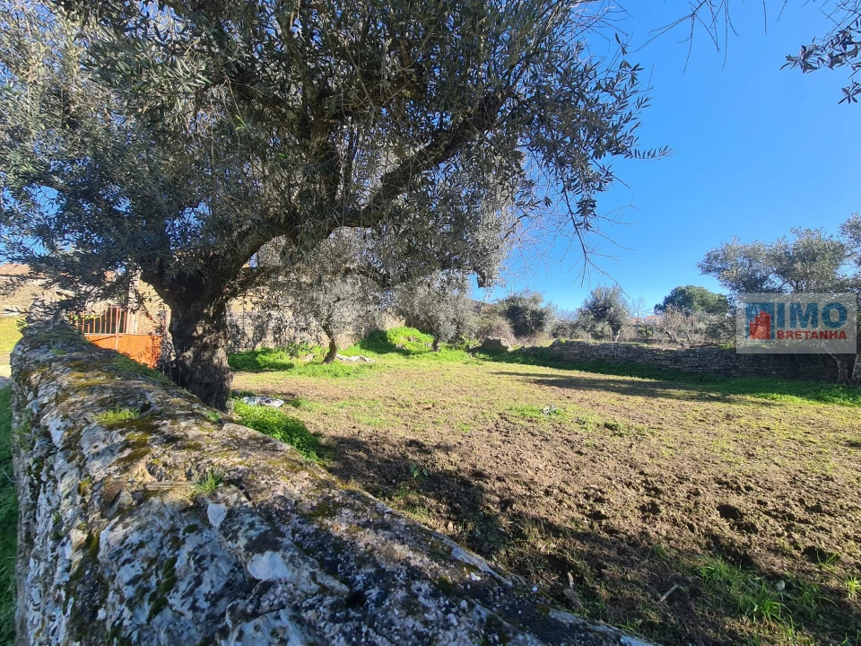 Terreno Agricola ou Rústico para Venda em Cebolais de Cima e Retaxo Foto 2