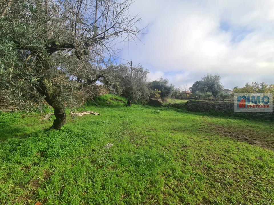 Terreno Agricola ou Rústico para Venda em Cebolais de Cima e Retaxo Foto 5