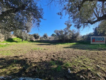 Terreno Agricola ou Rústico para Venda em Cebolais de Cima e Retaxo