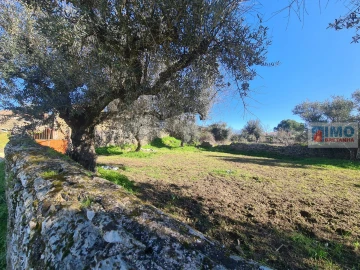 Terreno Agricola ou Rústico para Venda em Cebolais de Cima e Retaxo