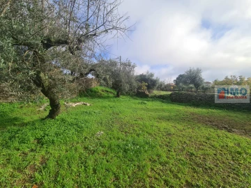Terreno Agricola ou Rústico para Venda em Cebolais de Cima e Retaxo