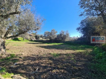 Terreno Agricola ou Rústico para Venda em Cebolais de Cima e Retaxo