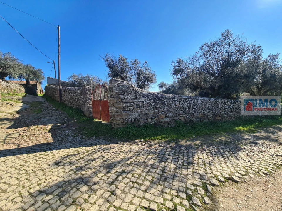 Terreno Agricola ou Rústico para Venda em Cebolais de Cima e Retaxo Foto 1