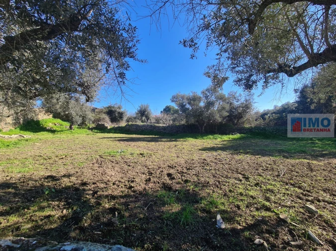 Terreno Agricola ou Rústico para Venda em Cebolais de Cima e Retaxo Foto 7