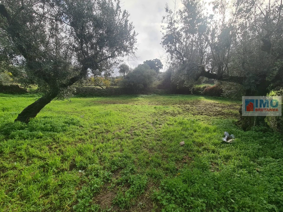 Terreno Agricola ou Rústico para Venda em Cebolais de Cima e Retaxo Foto 4
