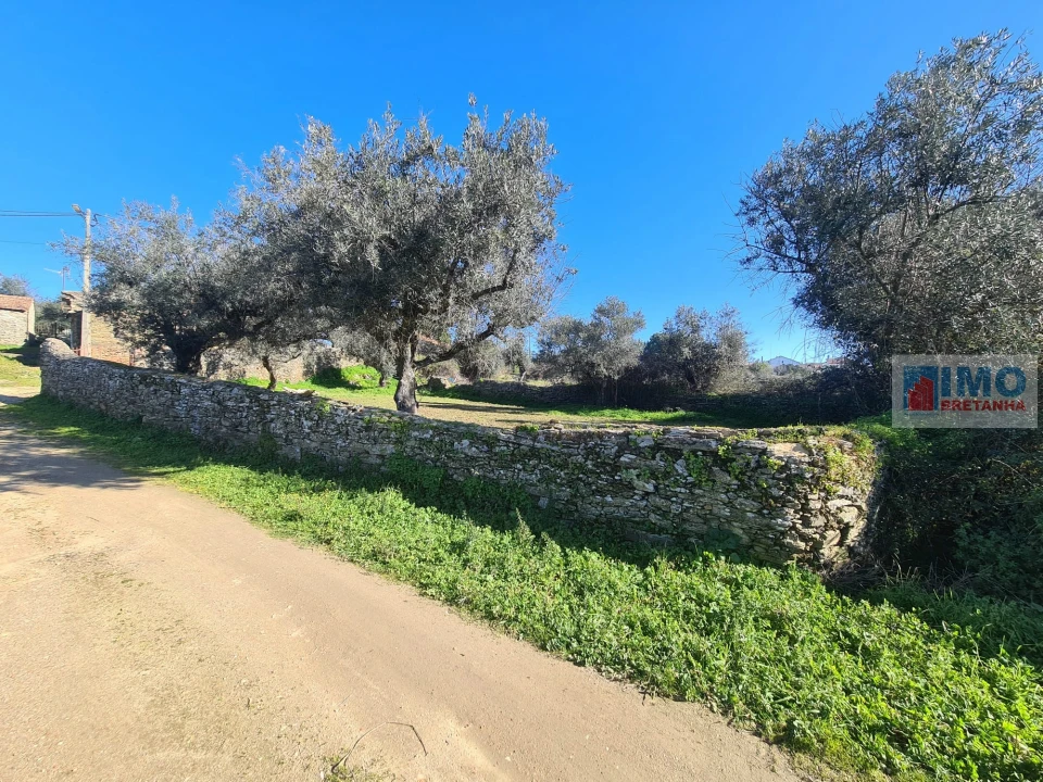 Terreno Agricola ou Rústico para Venda em Cebolais de Cima e Retaxo Foto 8