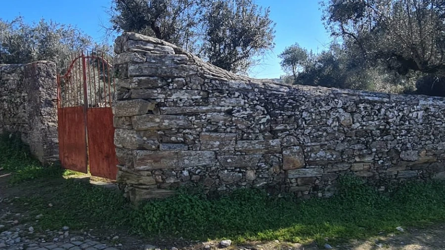 Terreno Agricola ou Rústico para Venda em Cebolais de Cima e Retaxo