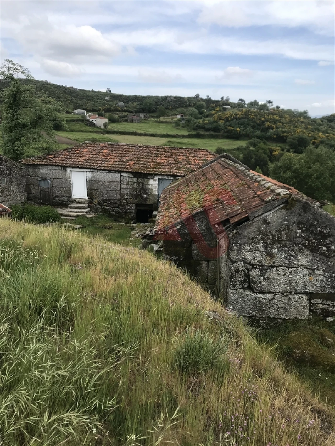 Quinta T3 para Venda em Soalhães Foto 4