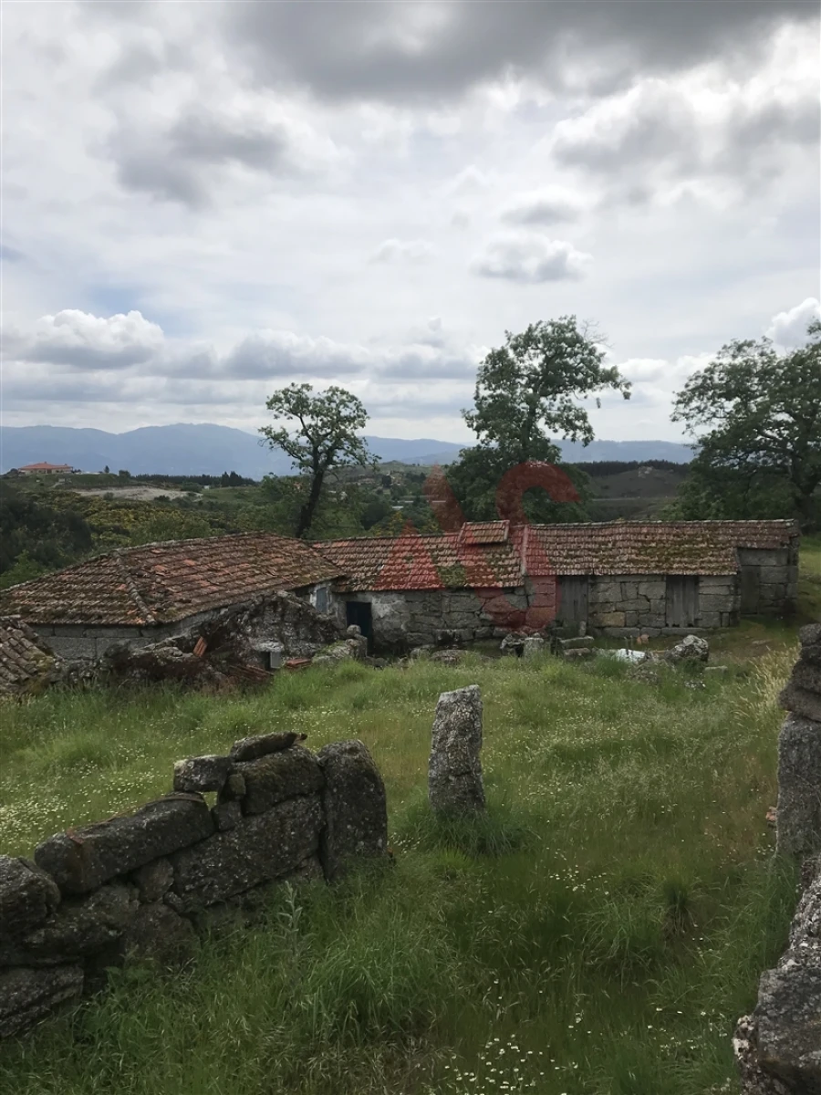 Quinta T3 para Venda em Soalhães Foto 3