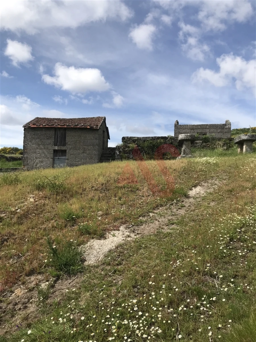 Quinta T3 para Venda em Soalhães Foto 2