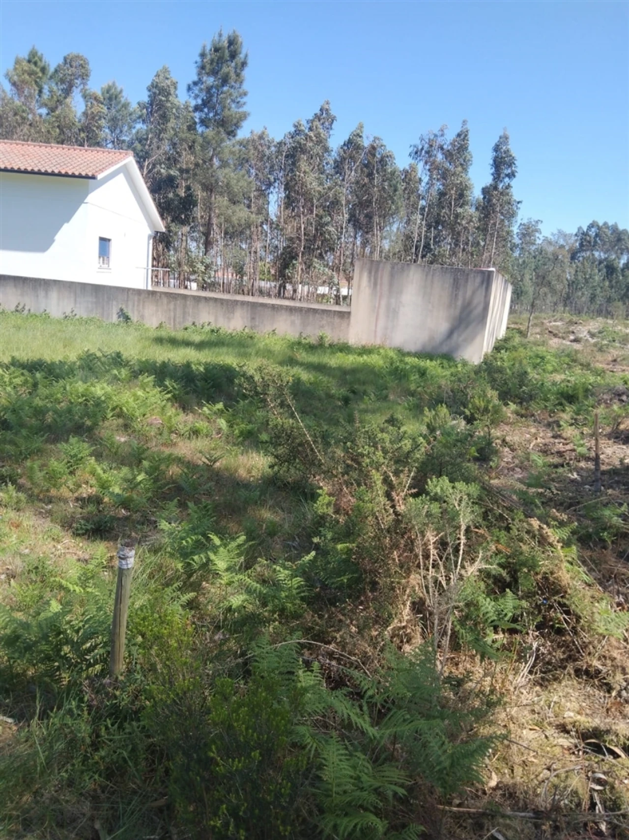 Terreno para Venda em Marrazes e Barosa Foto 8