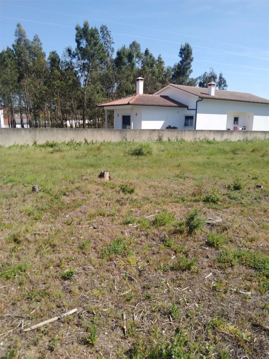 Terreno para Venda em Marrazes e Barosa Foto 5