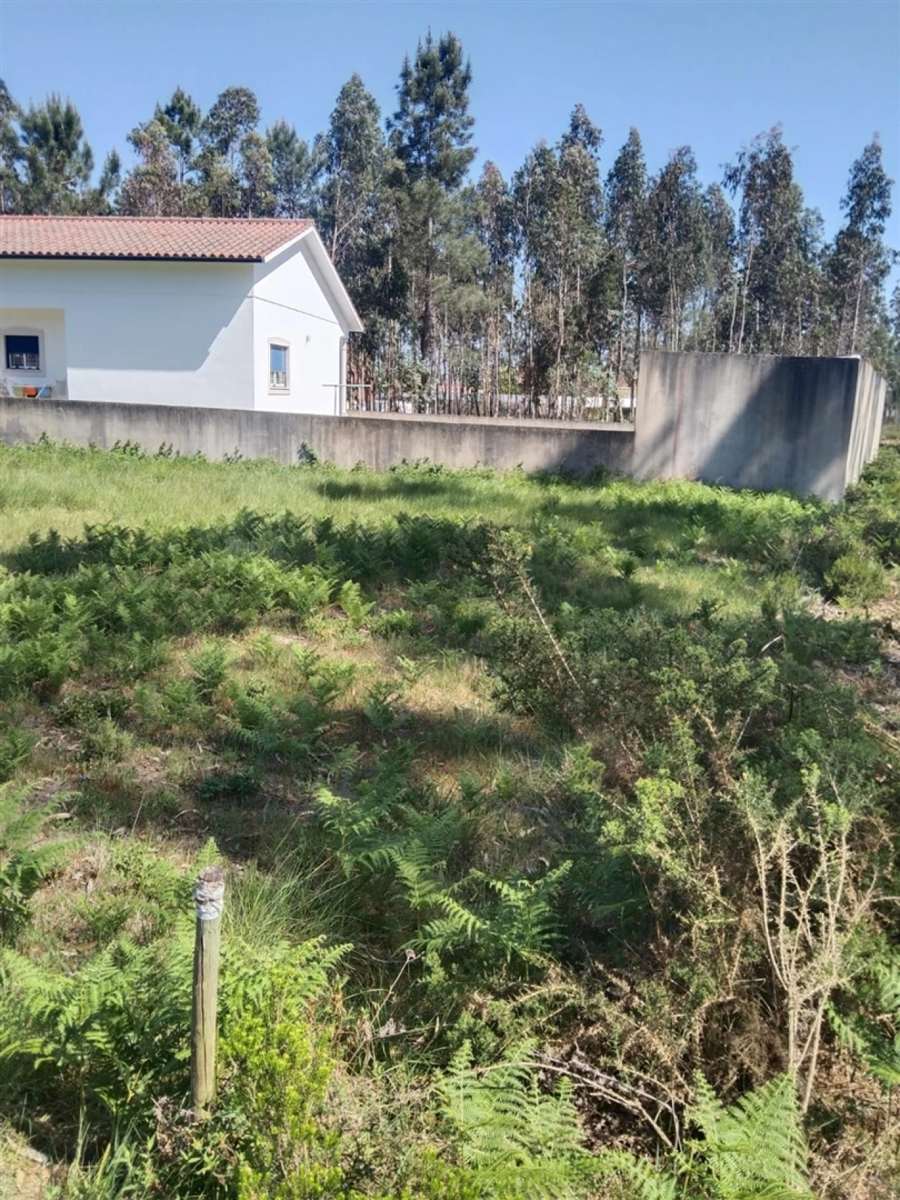 Terreno para Venda em Marrazes e Barosa Foto 9