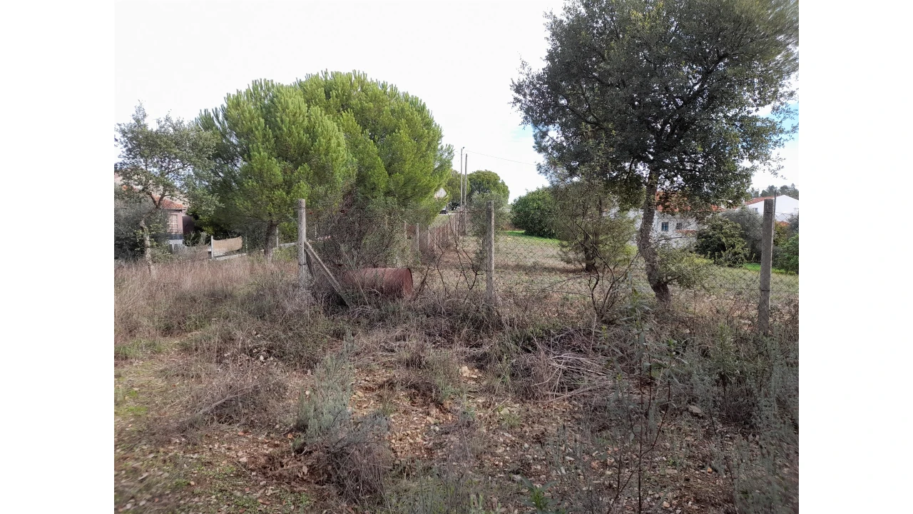 Terreno Agricola ou Rústico para Venda em Sarnadas de Rodão Foto 4