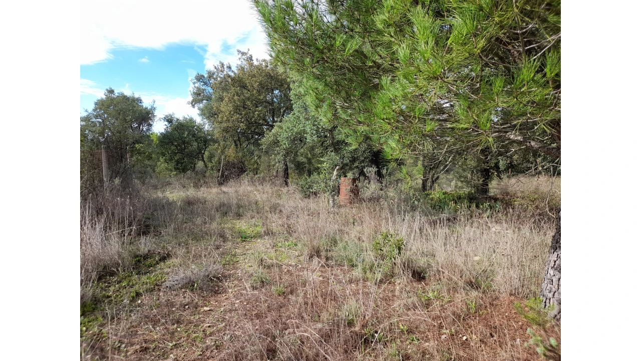 Terreno Agricola ou Rústico para Venda em Sarnadas de Rodão Foto 11