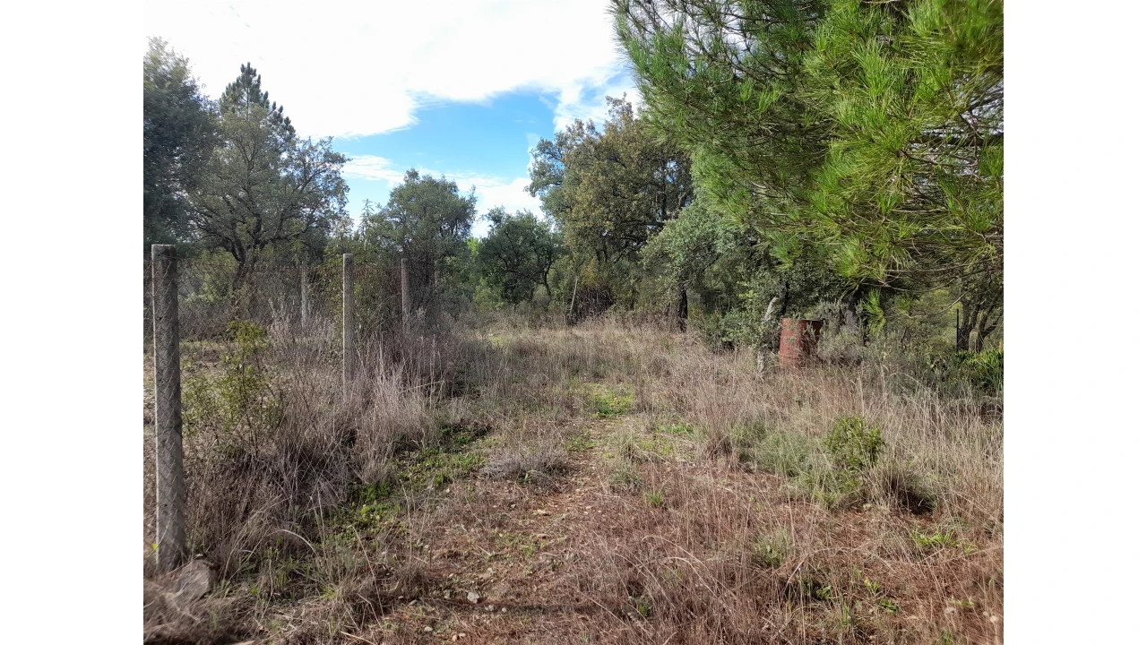 Terreno Agricola ou Rústico para Venda em Sarnadas de Rodão Foto 12