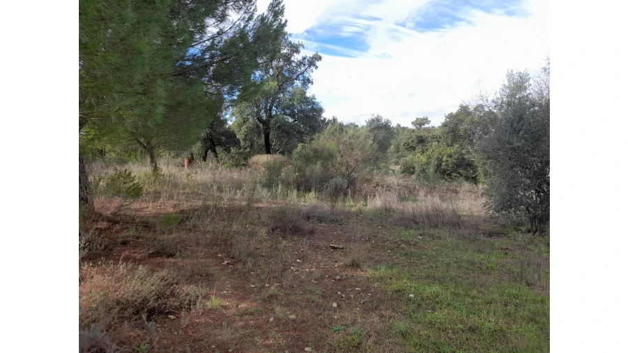 Terreno Agricola ou Rústico para Venda em Sarnadas de Rodão Foto 14