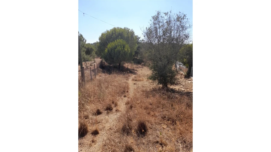 Terreno Agricola ou Rústico para Venda em Sarnadas de Rodão Foto 2