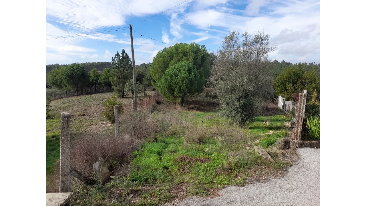 Terreno Agricola ou Rústico para Venda em Sarnadas de Rodão Foto 1