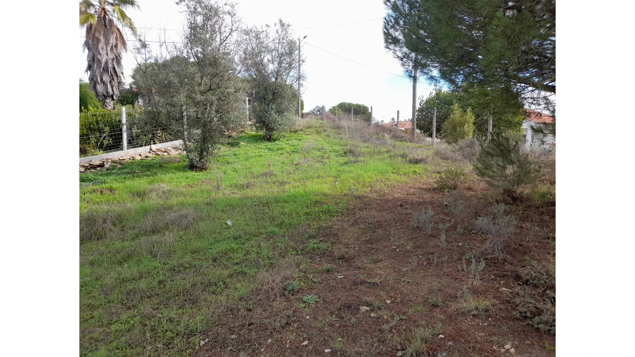 Terreno Agricola ou Rústico para Venda em Sarnadas de Rodão Foto 3