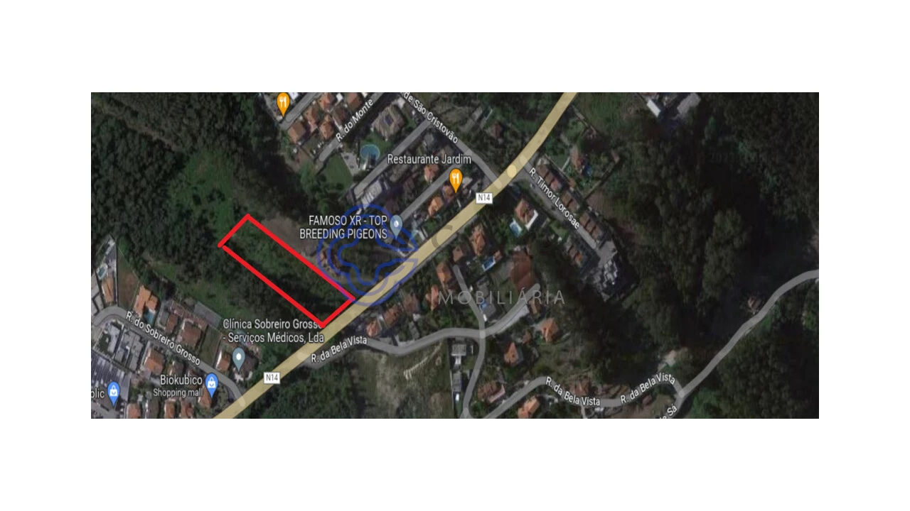 Terreno para Venda em Gavião Foto 14