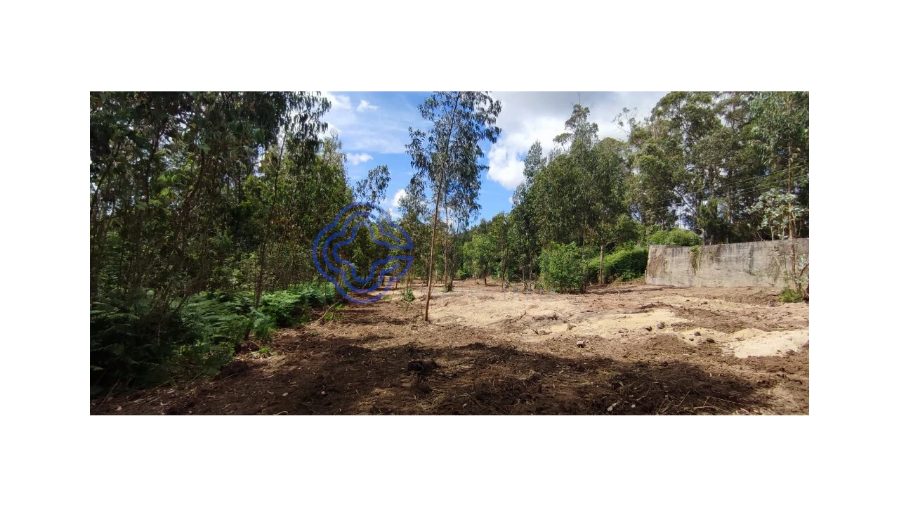 Terreno para Venda em Gavião Foto 13