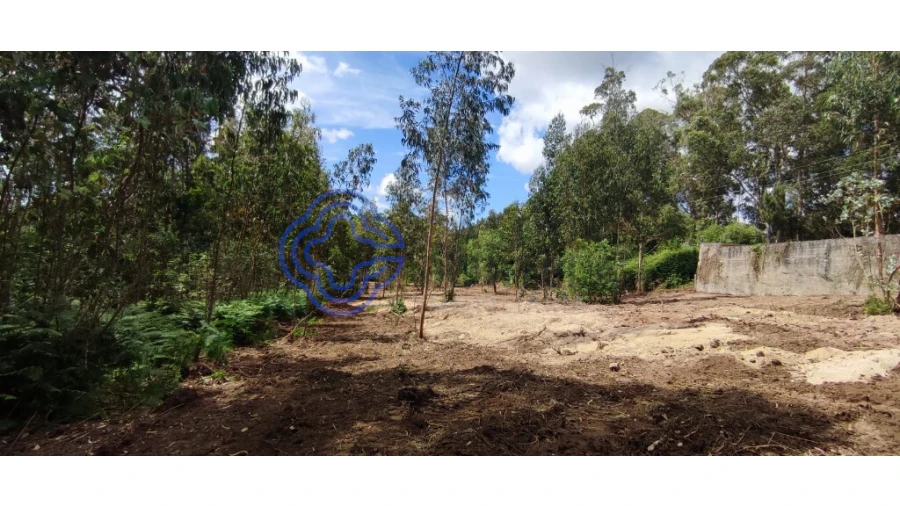 Terreno para Venda em Gavião Foto 13