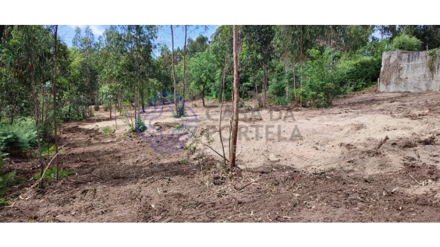 Terreno para Venda em Gavião Foto 11