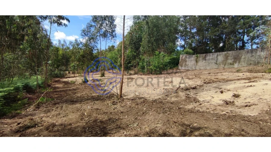 Terreno para Venda em Gavião Foto 12