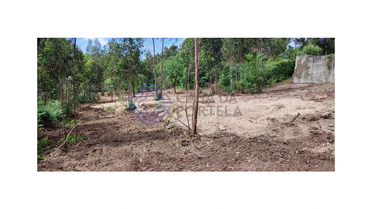Terreno para Venda em Gavião Foto 11