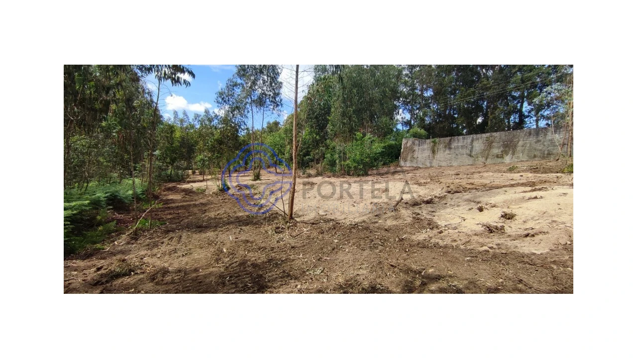 Terreno para Venda em Gavião Foto 12