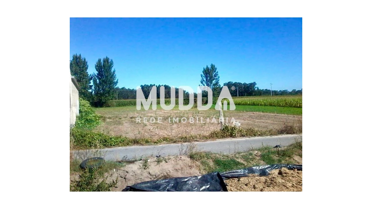 Terreno para Venda em Beduído e Veiros Foto 3