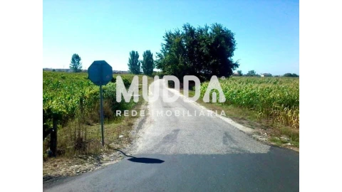 Terreno para Venda em Beduído e Veiros