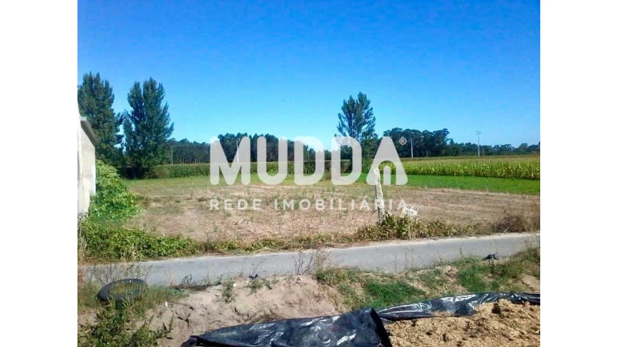 Terreno para Venda em Beduído e Veiros Foto 3