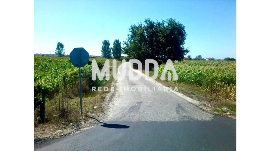 Terreno para Venda em Beduído e Veiros Foto 2