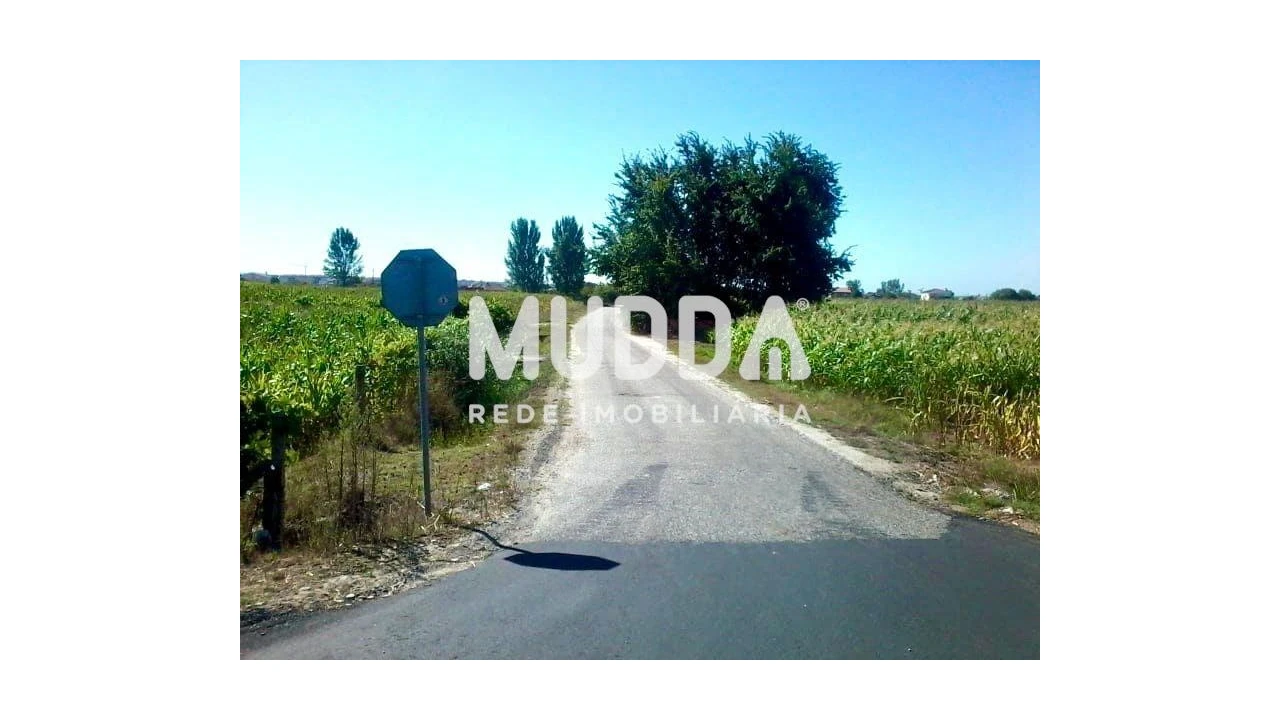 Terreno para Venda em Beduído e Veiros Foto 2