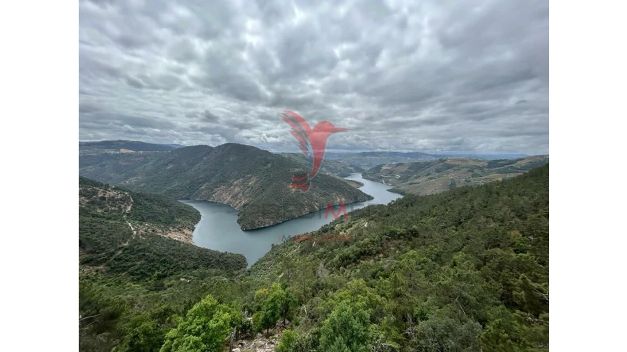 Moradia T3 para Venda em São Mamede de Ribatua Foto 1