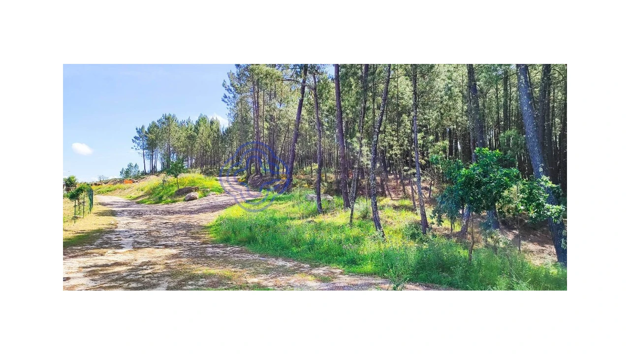 Terreno para Venda em Gondomil e Sanfins Foto 38