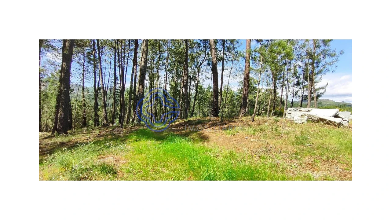 Terreno para Venda em Gondomil e Sanfins Foto 25